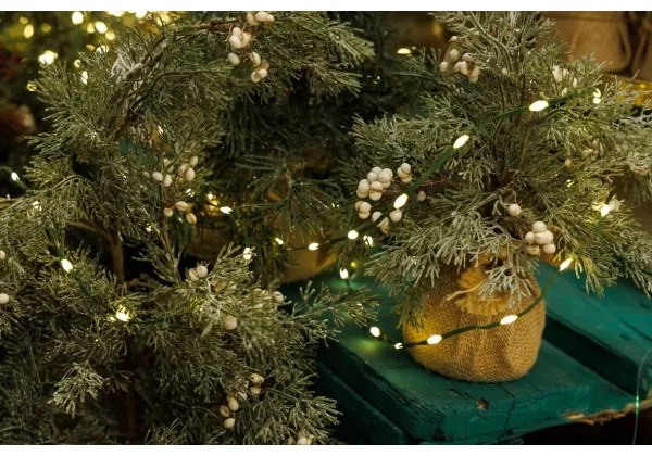 Catena LED natalizia da esterno LINE 700xLED/8 funzioni 40 m IP44 bianco caldo