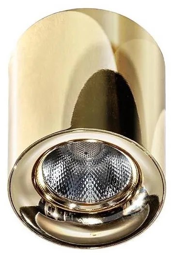 Azzardo AZ2846 - Plafoniera LED MANE 1xLED/10W/230V