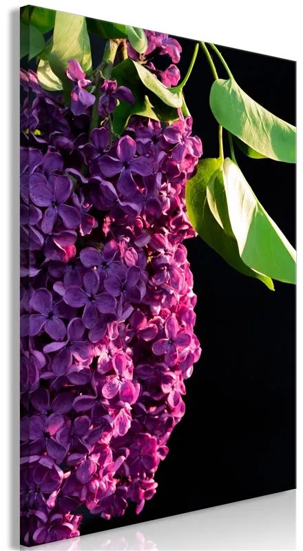 Quadro Colours of Spring (1 Part) Vertical  Colore Viola, Dimensioni e Misure 60x90