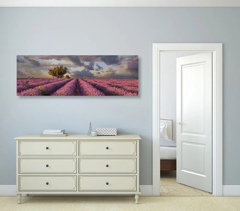 Stampa su tela – Terra dei campi di lavanda