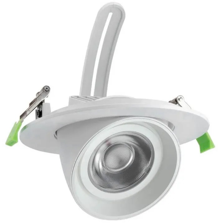 Faro LED da Incasso 44W, Foro Ø160mm con driver Philips- Per Carni Colore Rosa Alimentare