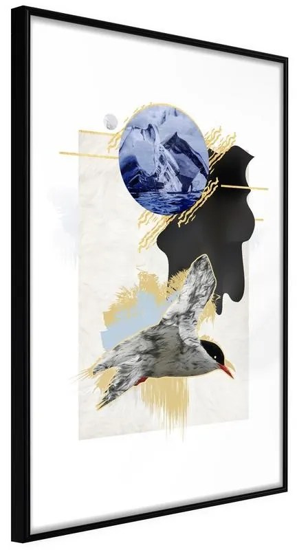 Poster  Abstraction with a Tern  Cornice Quadri Cornice nera, Larghezza x Altezza Home decor 20x30