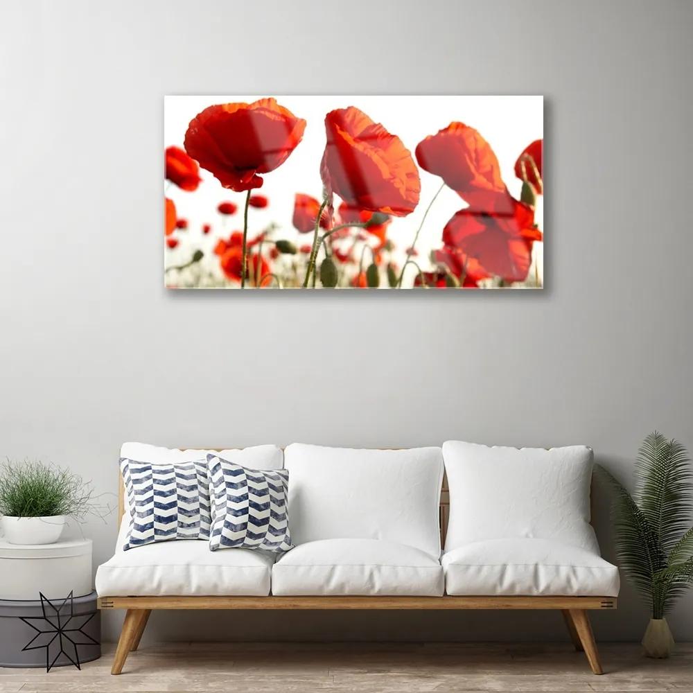 Quadro acrilico Fiori di tulipani 100x50 cm