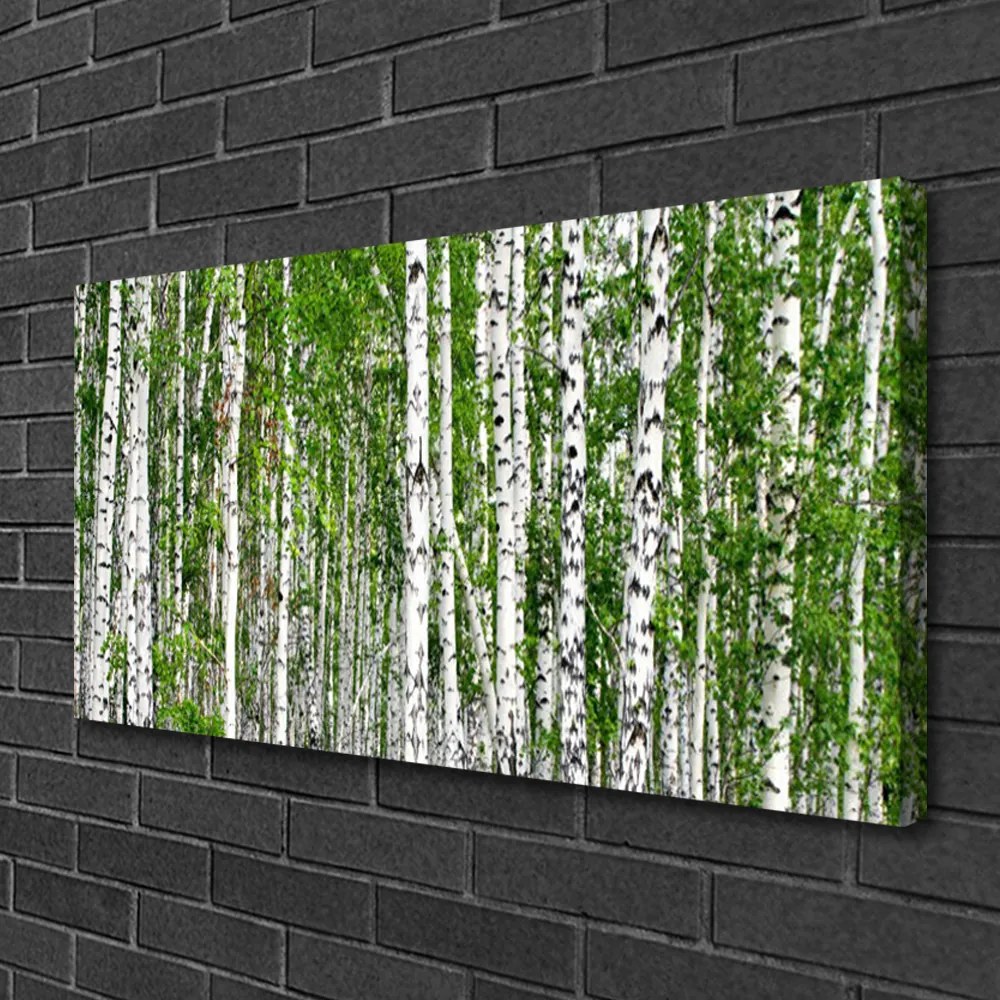 Quadro su tela Natura degli alberi della foresta di betulle 100x50 cm