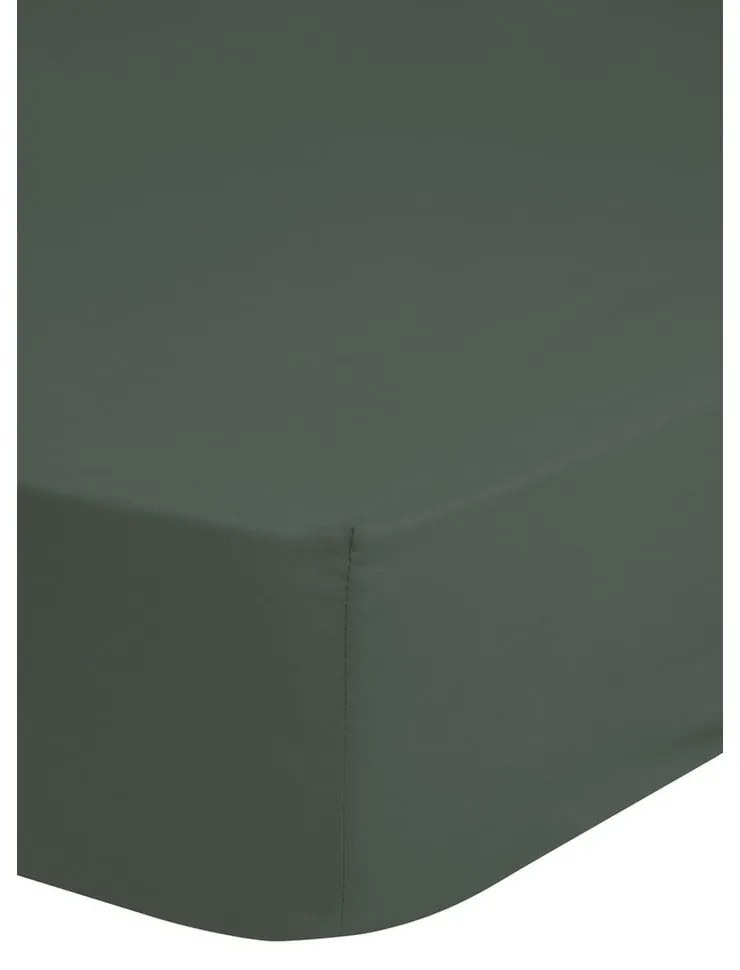 Lenzuolo di cotone sateen elasticizzato verde oliva, 160 x 200 cm - HIP
