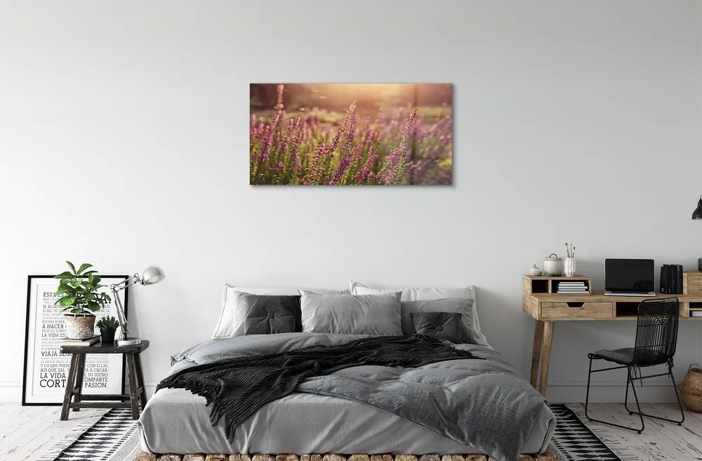 Quadro in vetro Campo di heather 100x50 cm 2 appendini