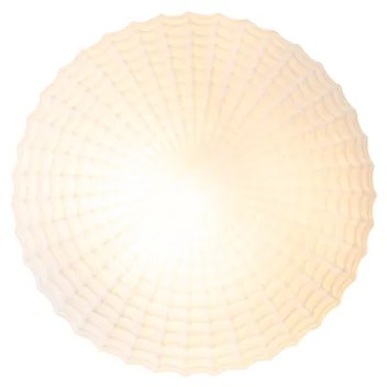 Plafoniera classica nera con vetro opalino 23 cm IP44 - Nohmi