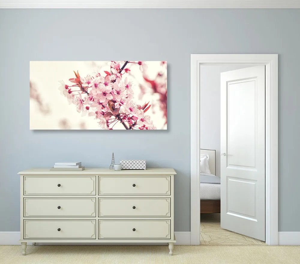 Quadro su tela – Fiori rosa di ciliegio
