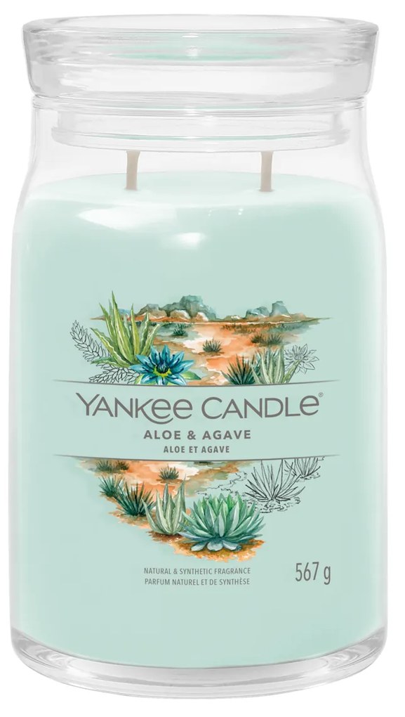 Aloe & Agave, candela giara grande Yankee Candle