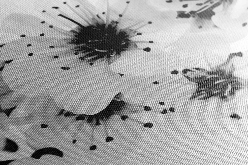 Quadro su tela – Fiori di ciliegio in bianco e nero