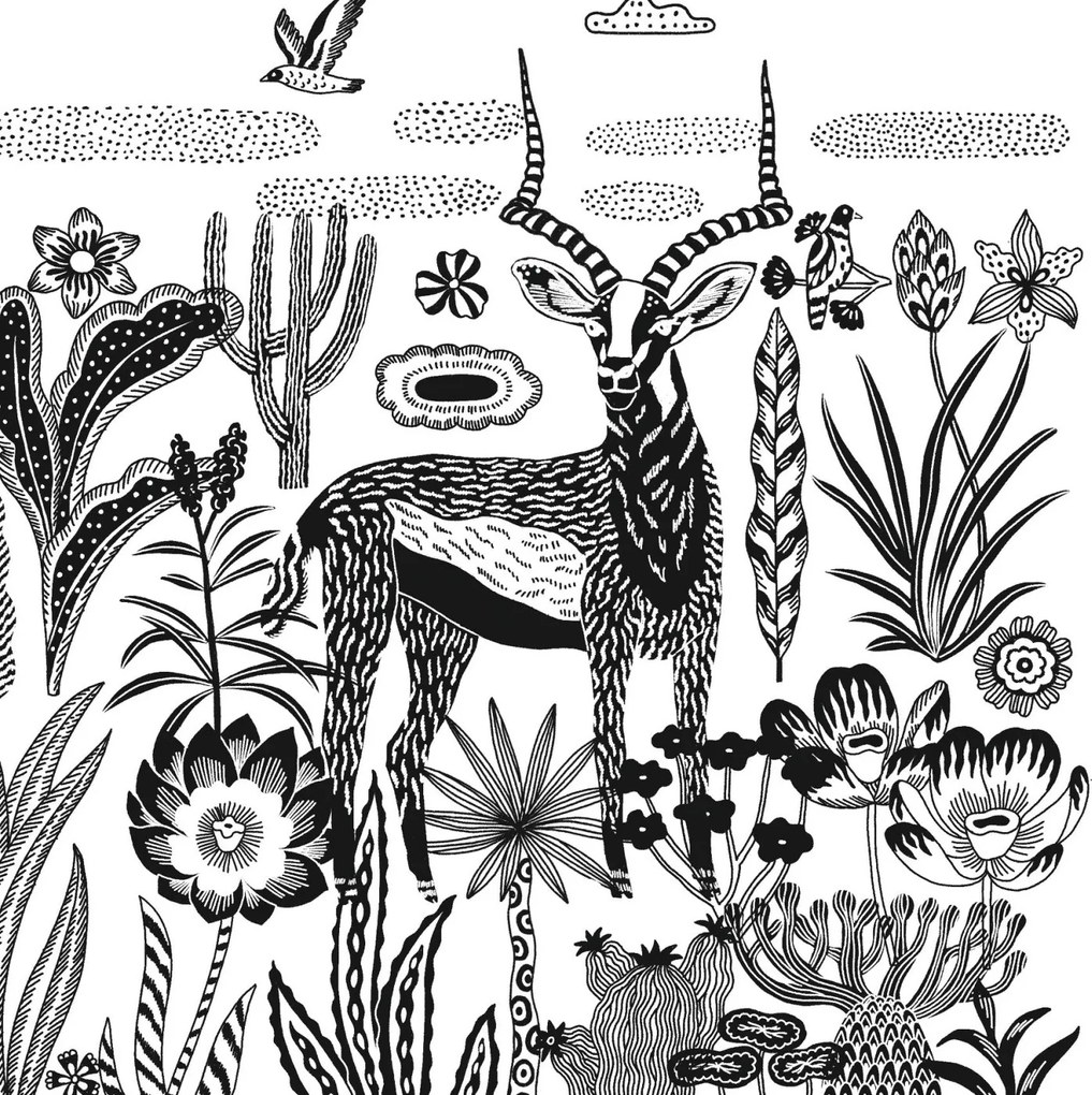 Set creativo - Cianotipia - Notte nella savana