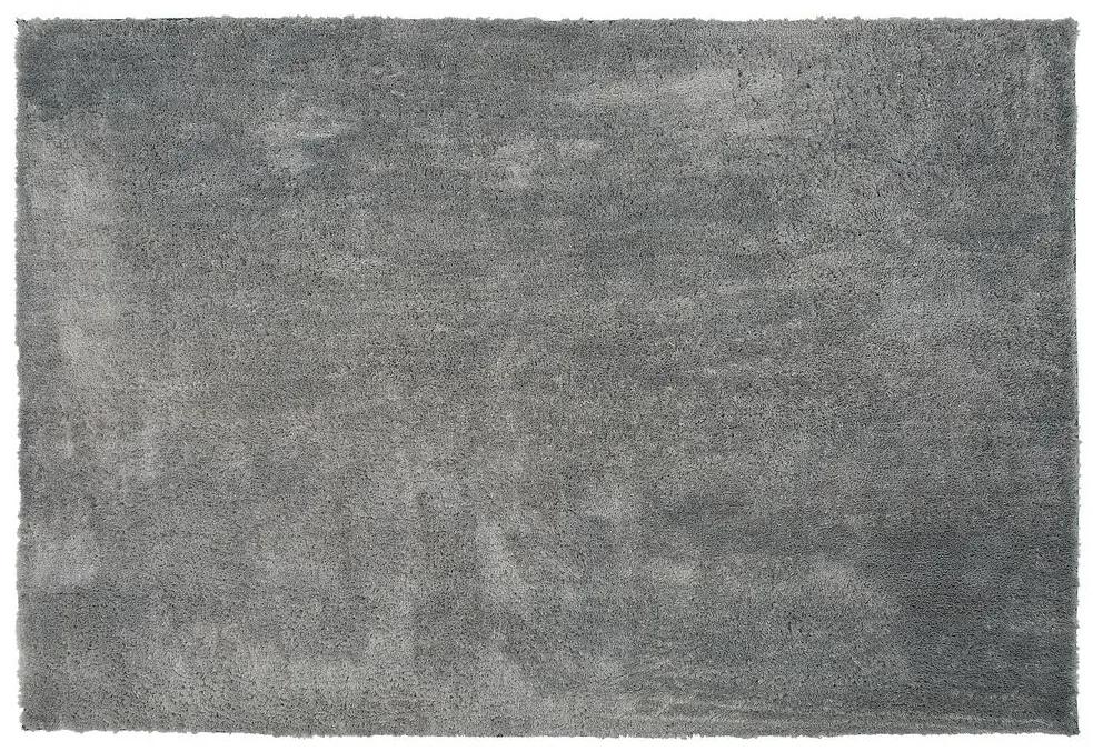 Tappeto shaggy grigio chiaro 200 x 300 cm EVREN Beliani
