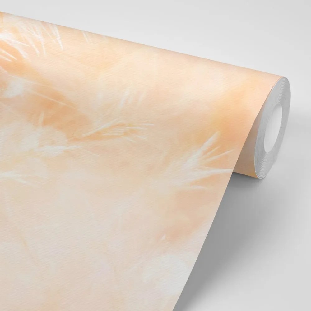 Carta da parati – Soffione al sorgere del sole Peach Fuzz