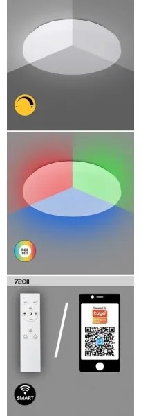 Rabalux 71035 - Plafoniera LED RGB dimmerabile CERRIGEN LED/24W/230V