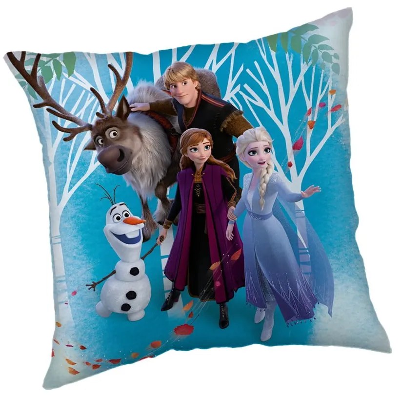 Cuscino per bambini in vello Frozen "Family" – Jerry Fabrics