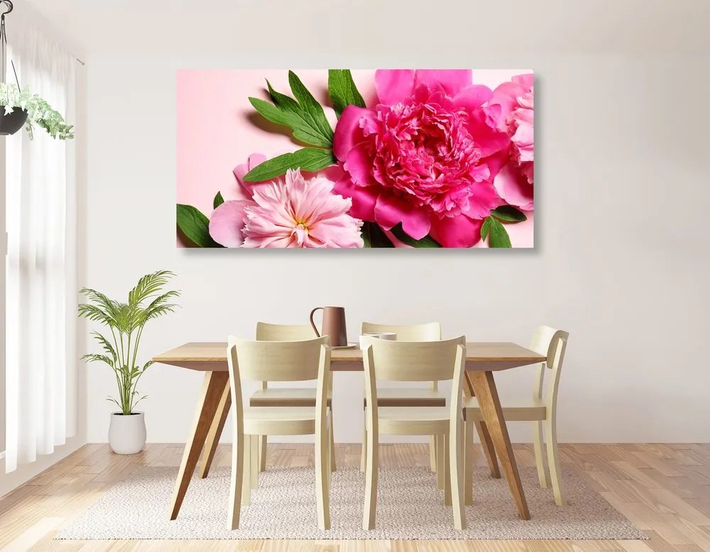 Quadro su tela – Peonie in rosa