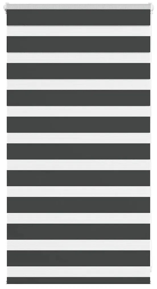 Tenda A Rullo Zebra Nero Larghezza Tessuto 75,9 Cm Poliestere /