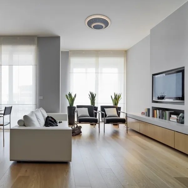 Rabalux - Plafoniera dimmerabile LED/47W/230V 3000-6000K + telecomando