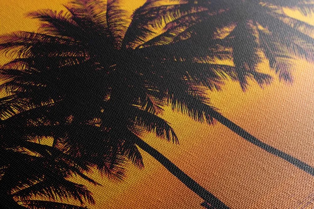 Stampa su tela – Tramonto sulle palme