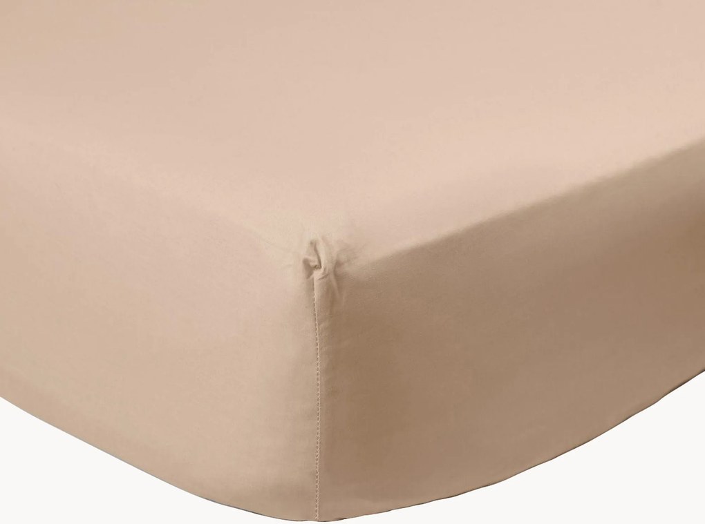 Lenzuolo con angoli in cotone percalle Brown Caffelatte
