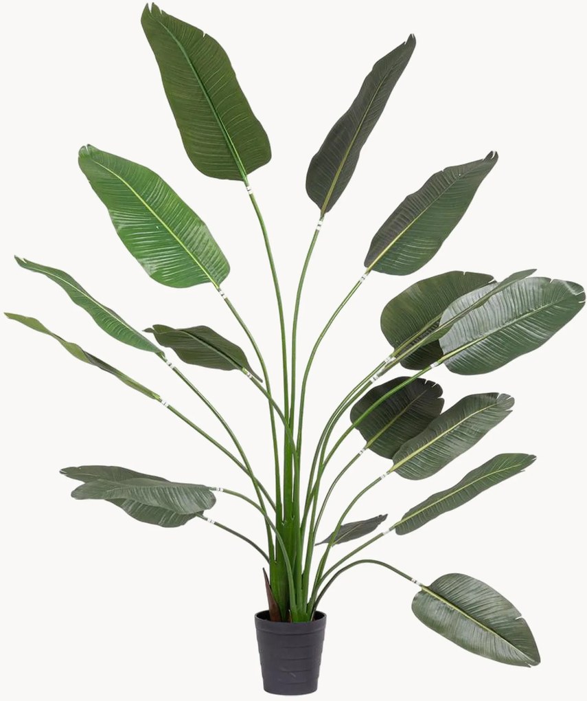 Pianta artificiale da esterno Strelitzia, alt. 210 cm
