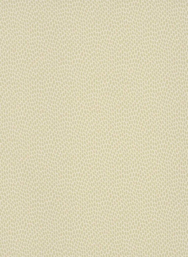 Tapete Seedpod von Paint & Paper Library - Willow 5