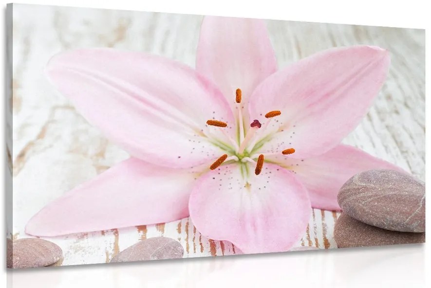 Stampa su tela – Giglio rosa e pietre zen