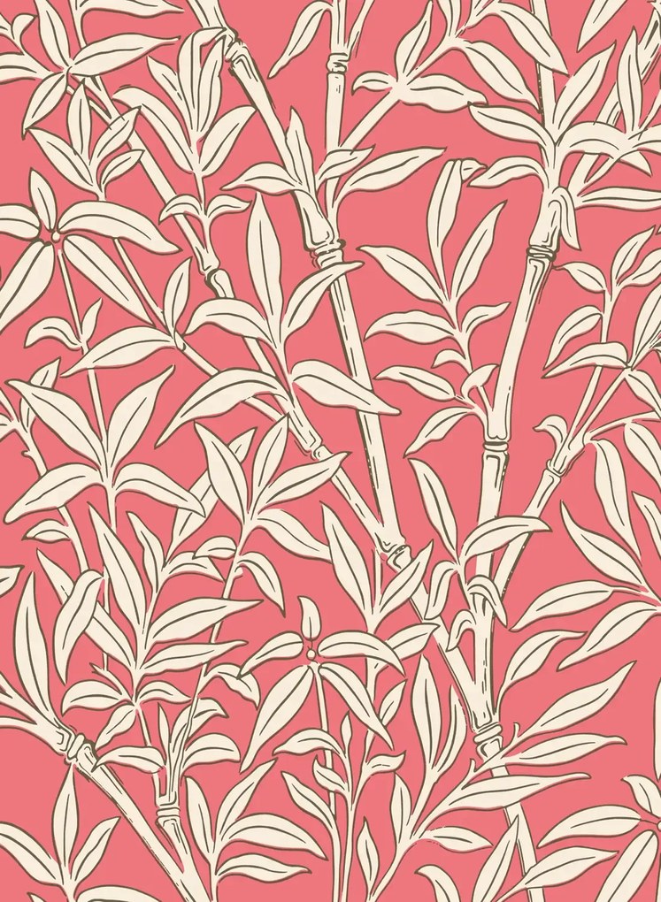 Cole & Son Carta da parati Bamboo Forest - Chalk on Rouge