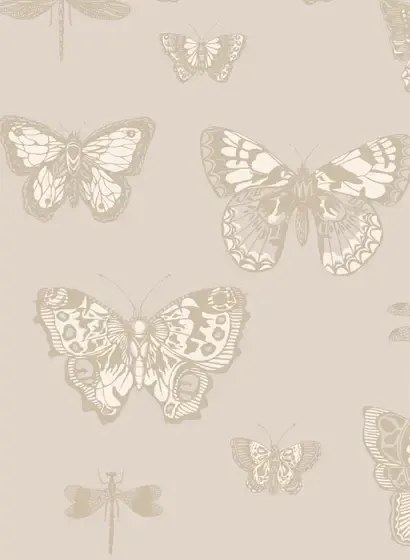 Cole & Son Carta da parati Butterflies & Dragonflies - Grey
