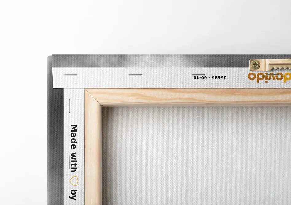 Quadro su tela – Leone africano in bianco e nero