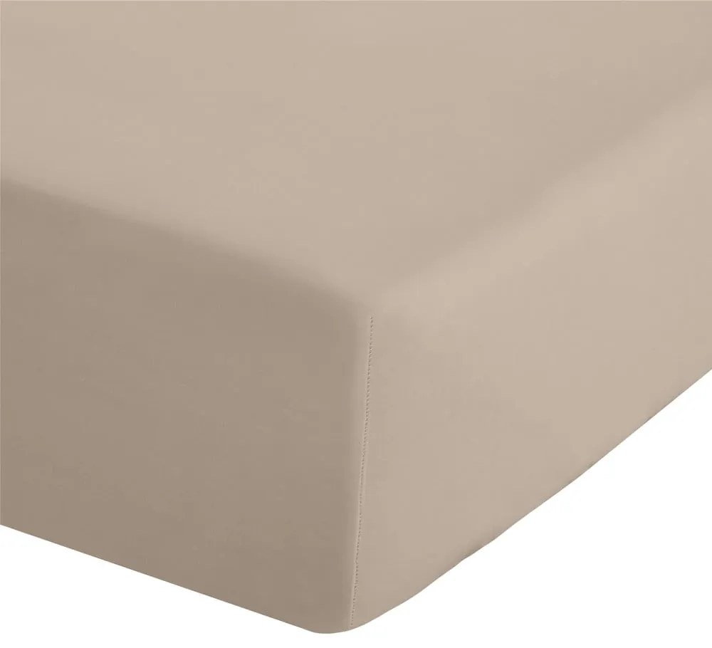 Lenzuolo con angoli marrone chiaro in percalle 135x190 cm Easy Iron Percale – Catherine Lansfield