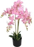 Orchidea Artificiale con Vaso75 cm Rosa