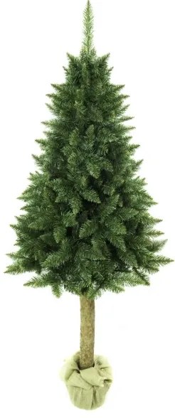 Albero di Natale su tronco di abete 180 cm