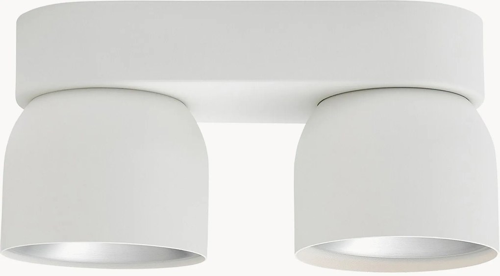 Faretti da soffitto con luce regolabile Pitcher