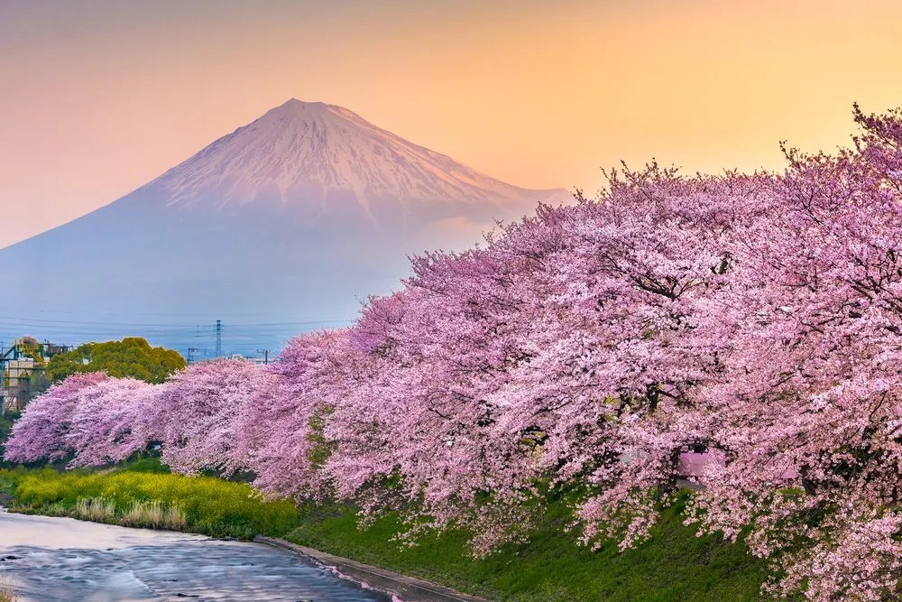 Stampa su tela – Vulcano Fuji del Giappone