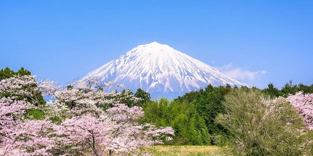 Quadro su tela – Monte Fuji