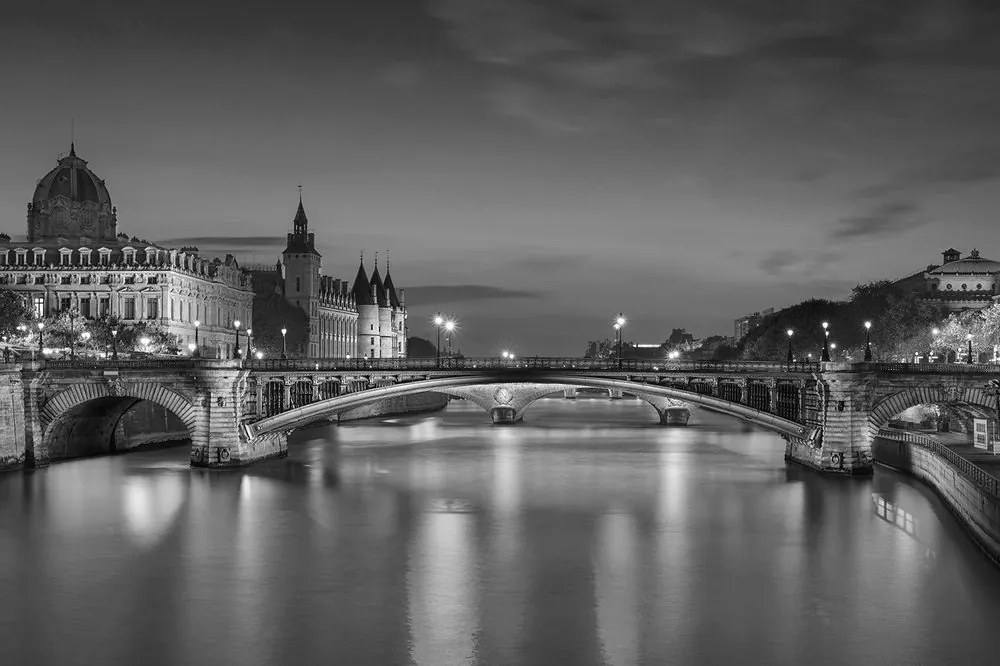 Carta da parati – Panorama abbagliante di Parigi in bianco e nero