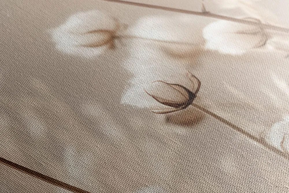 Quadro su tela – Cotone secco