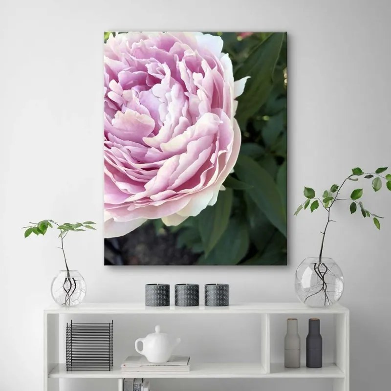 Quadro su tela, Pianta di fiori di peonia  Dimensioni 40x60