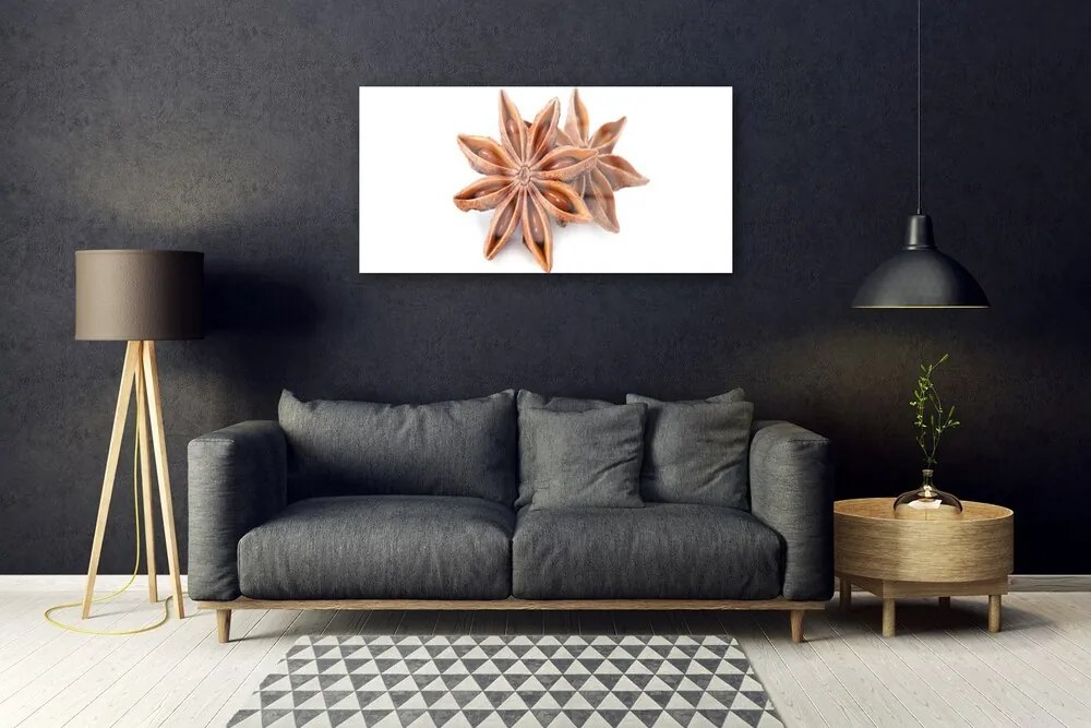 Quadro su vetro Spezia all'anice stellato 100x50 cm 2 appendini