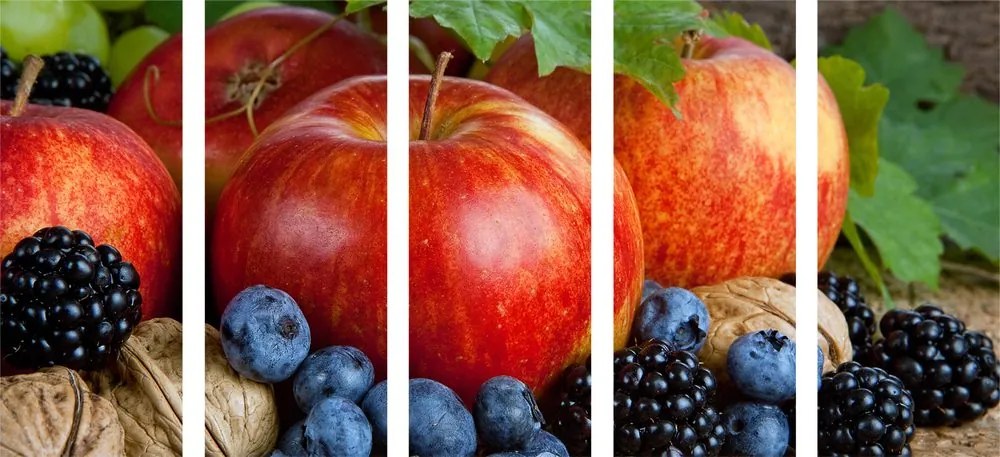 Quadri 5 pezzi – Raccolto autunnale