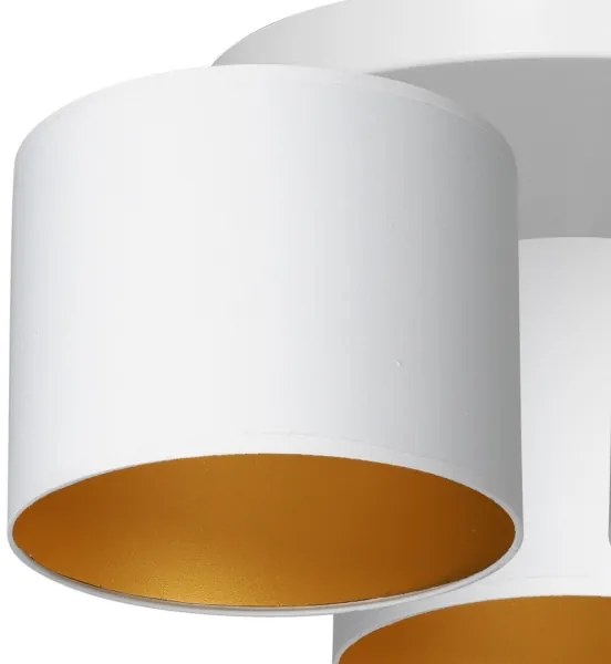 Lampadario a plafone ARDEN 3xE27/60W/230V bianco/oro