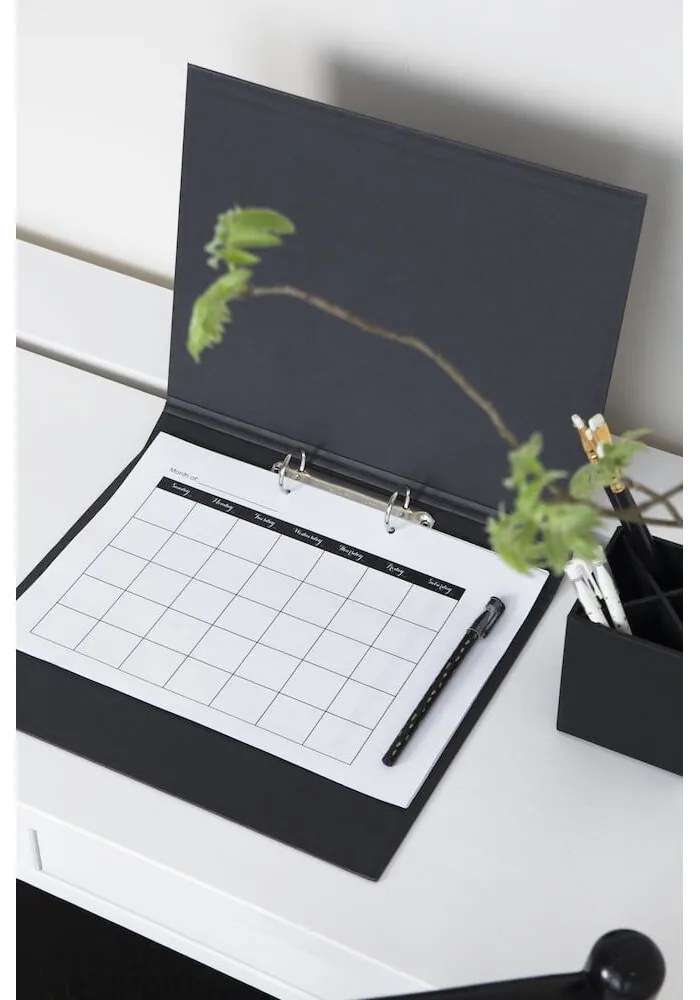 Organizzatore di cartone Ringo - Bigso Box of Sweden