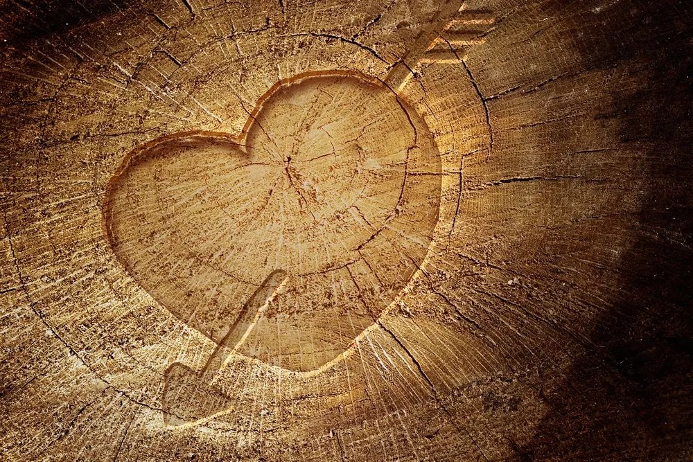 Stampa su tela – Cuore intagliato su tronco