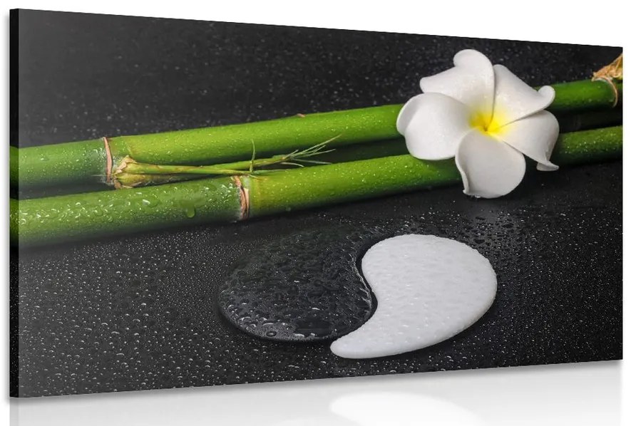 Quadro su tela – Natura morta Spa e pietre Jin e Jang