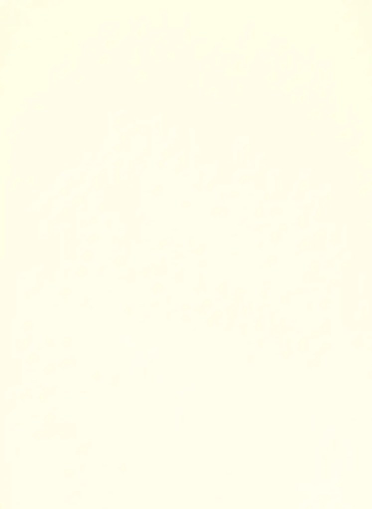 Terrastone original fein - Probeset - 73 - Samarkand