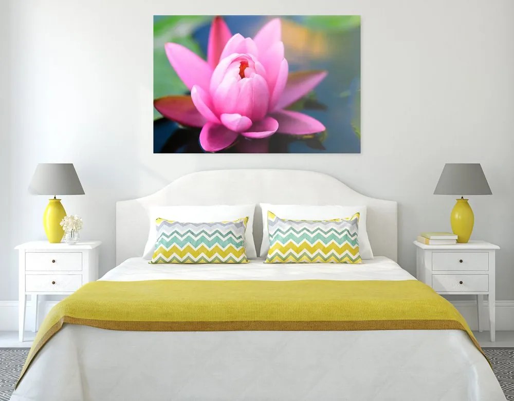 Quadro su tela – Splendido fiore rosa sul lago