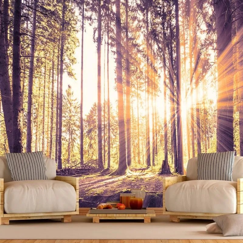 Fotomurale adesivo  Forest Afternoon  Larghezza x Altezza Home decor 196x140