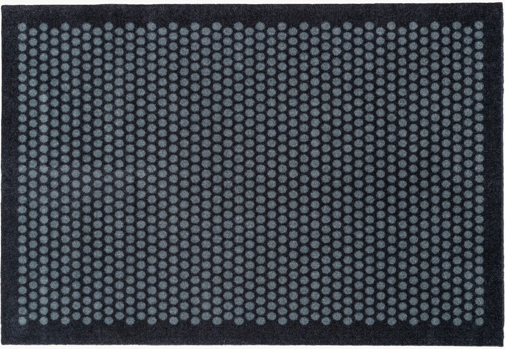 Zerbino Dot