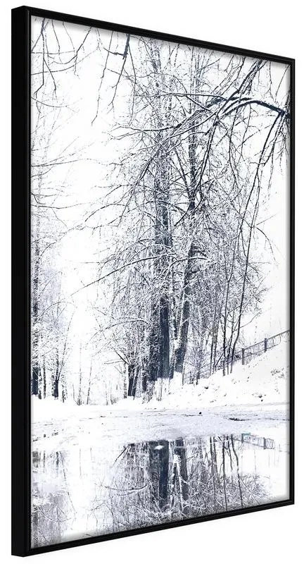 Poster  Snowy Park  Cornice Quadri Cornice nera, Larghezza x Altezza Home decor 20x30